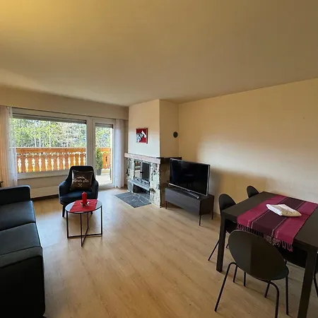 Arnica 20 克莱恩 蒙塔纳