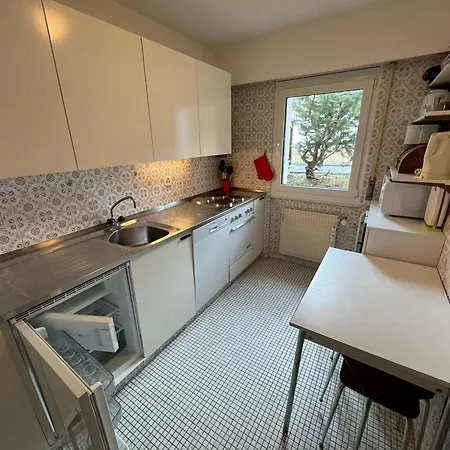 Arnica 20 * 克莱恩 蒙塔纳