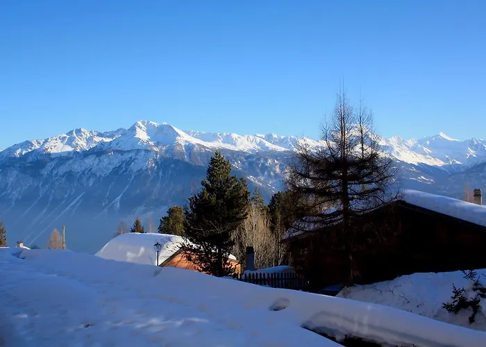 アパート Arnica 20 *